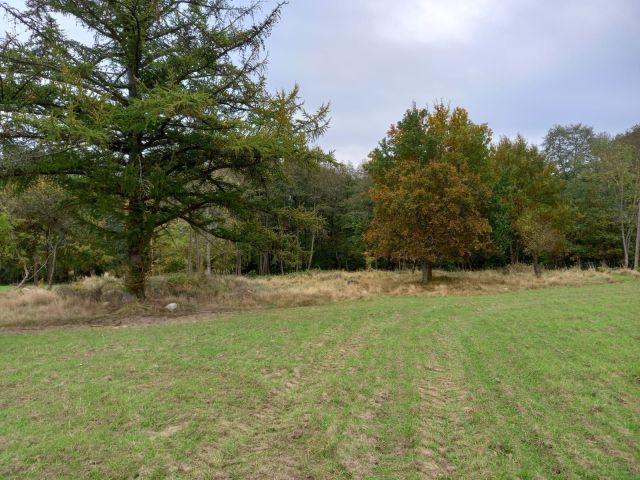 Działka rolno-budowlana Wojsławiec. Zdjęcie 1