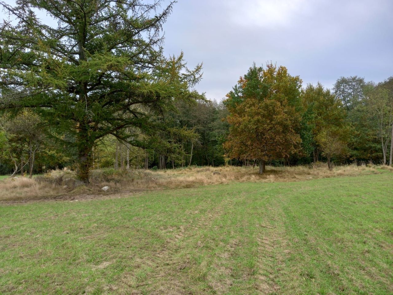 Działka rolno-budowlana Wojsławiec