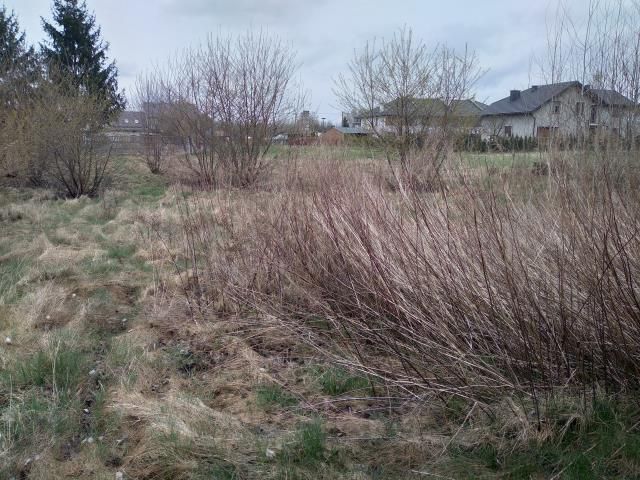 Działka budowlana Józefów. Zdjęcie 2