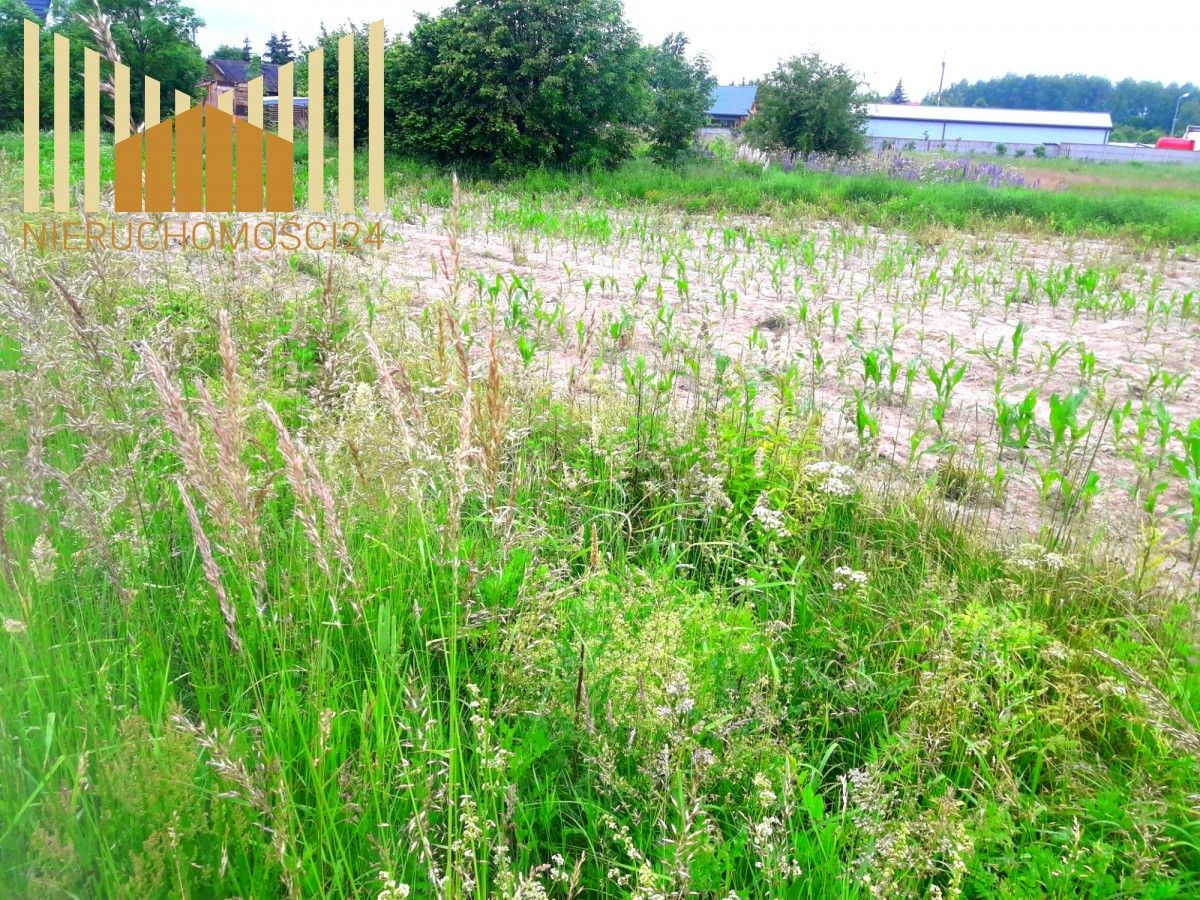 Działka rolna Cegłów. Zdjęcie 9