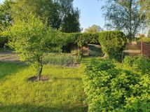 Działka rod Braniewo. Zdjęcie 1