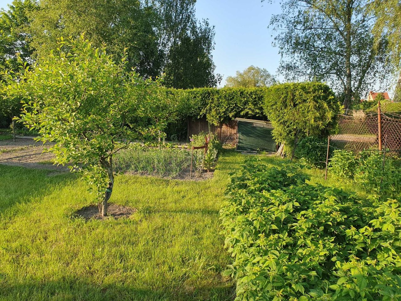 Działka rod Braniewo. Zdjęcie 2