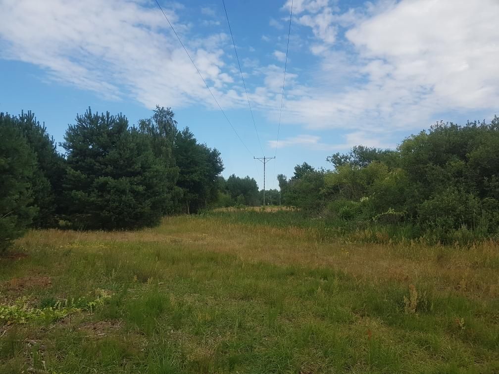 Działka budowlana Branica. Zdjęcie 9