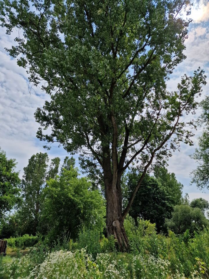Działka rolno-budowlana Sobków, ul. Długa. Zdjęcie 4