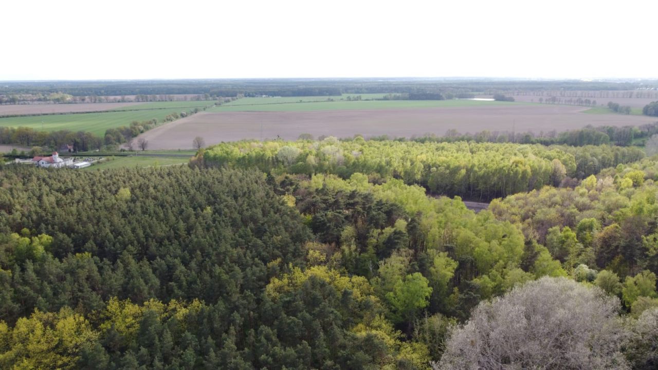 dom wolnostojący, 6 pokoi Suchy Las, ul. Szkółkarska. Zdjęcie 10