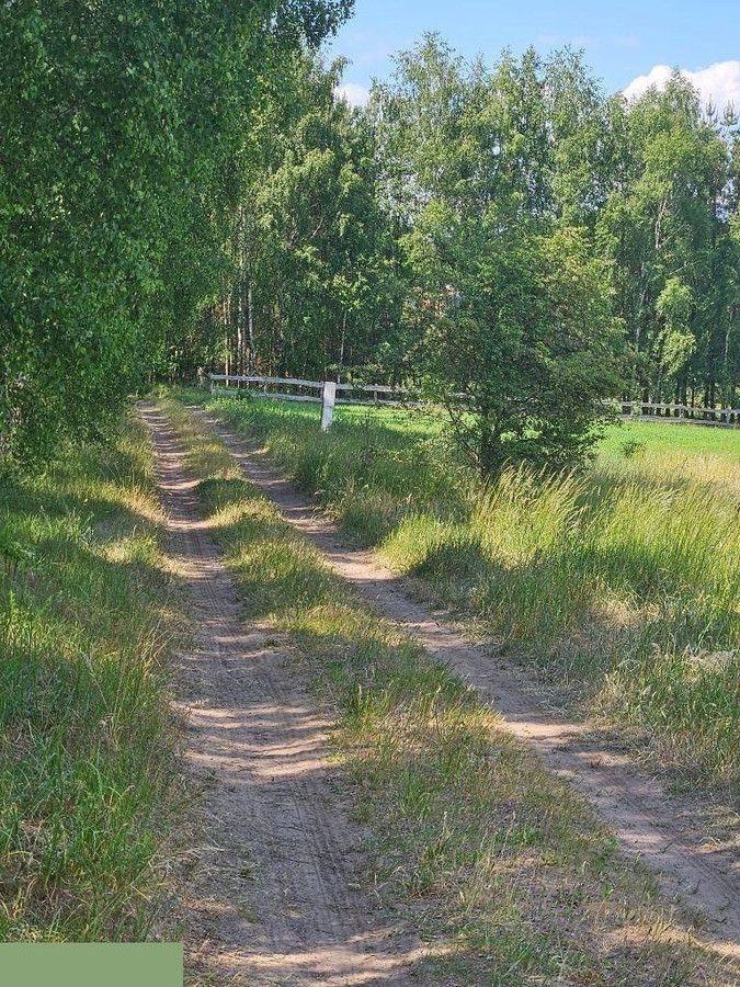 Działka rolno-budowlana Szymonka. Zdjęcie 10