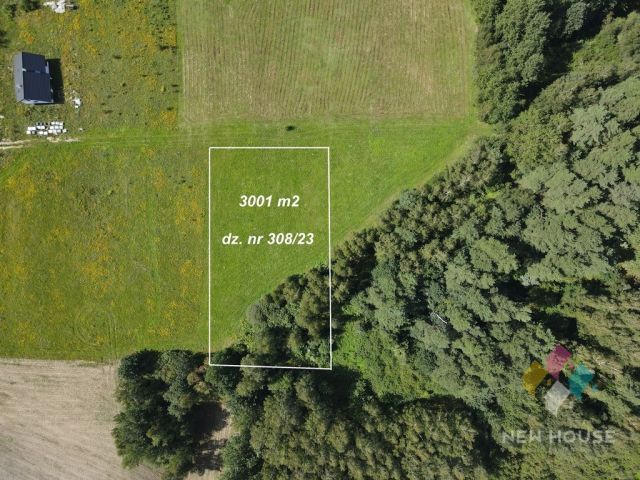 Działka budowlana Patryki. Zdjęcie 2