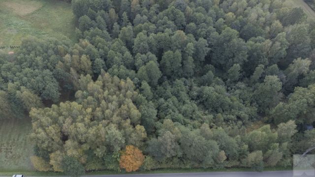 Działka budowlana Majdan Sieniawski. Zdjęcie 6