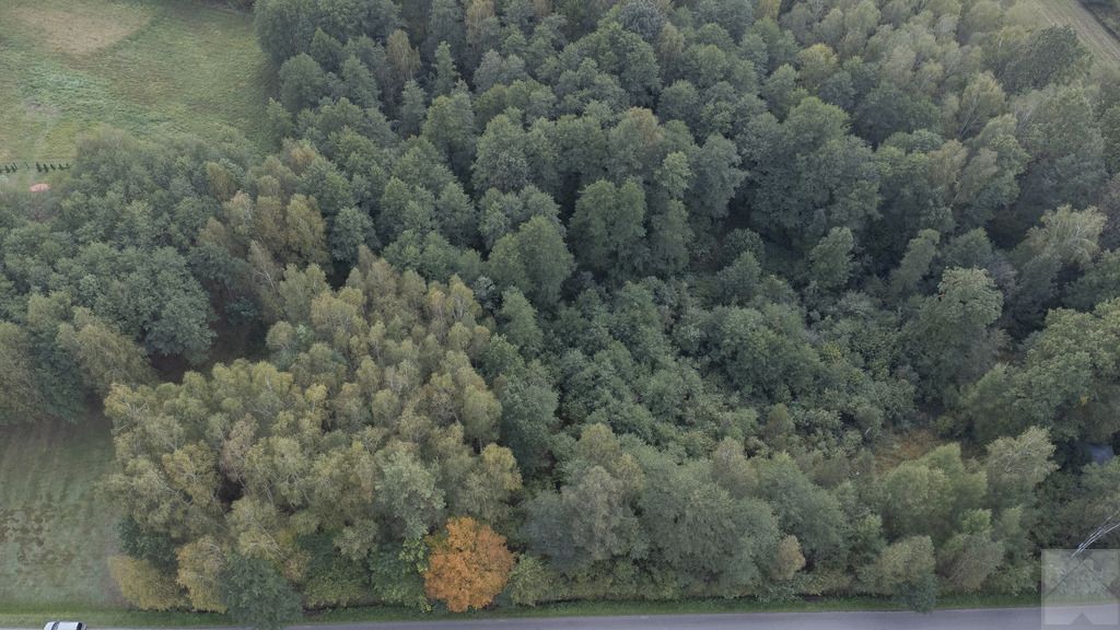 Działka budowlana Majdan Sieniawski. Zdjęcie 6