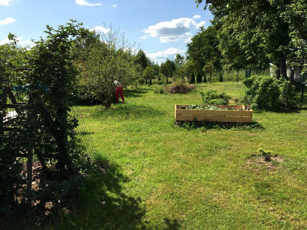 dom wolnostojący, 3 pokoje Jasiów. Zdjęcie 2