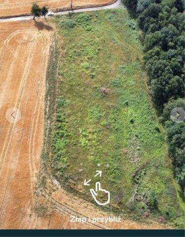 Działka inwestycyjna Bielanka. Zdjęcie 1