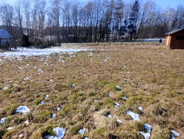 Działka budowlana Wieszczęta. Zdjęcie 1