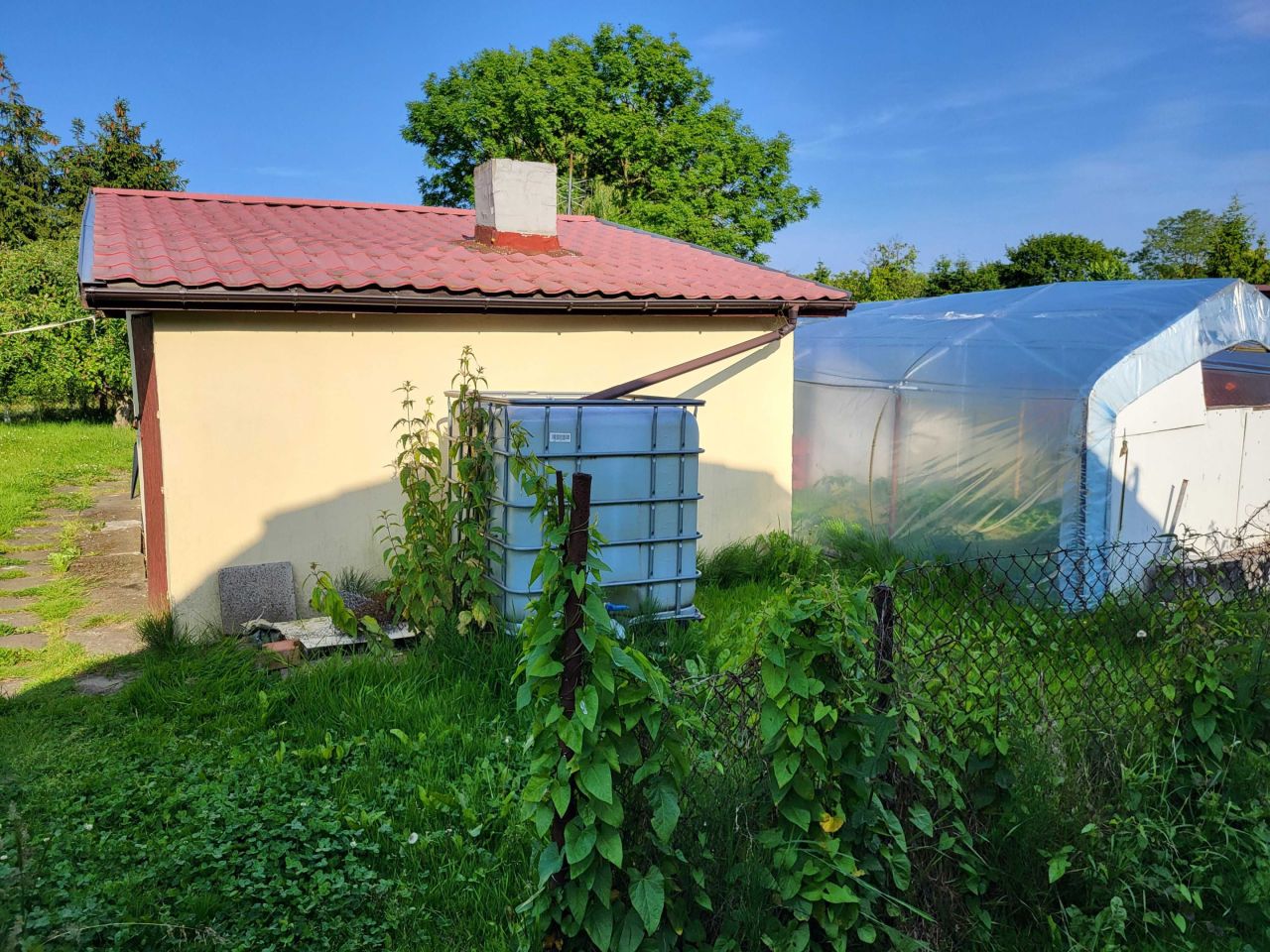 Działka rod Szczecin Bukowo, ul. Górna. Zdjęcie 7