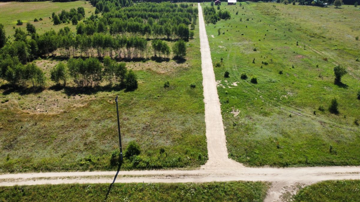 siedlisko, 3 pokoje Pilchy. Zdjęcie 6