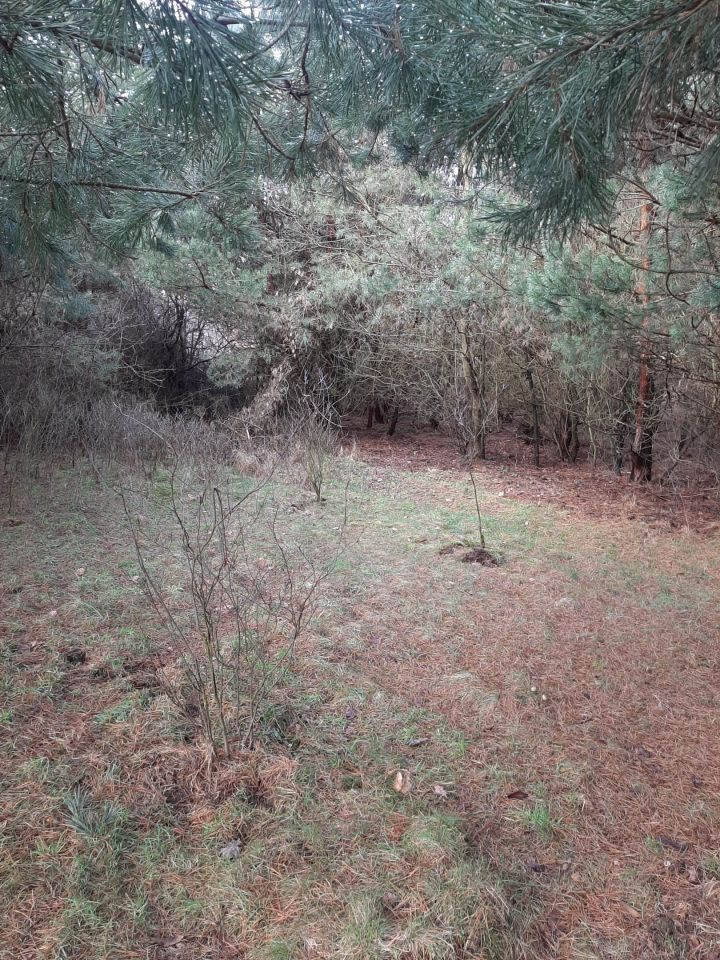 Działka budowlana Bargłówka, ul. Raciborska. Zdjęcie 12