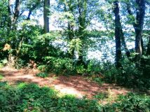 Działka Wiewiórczyn. Zdjęcie 3