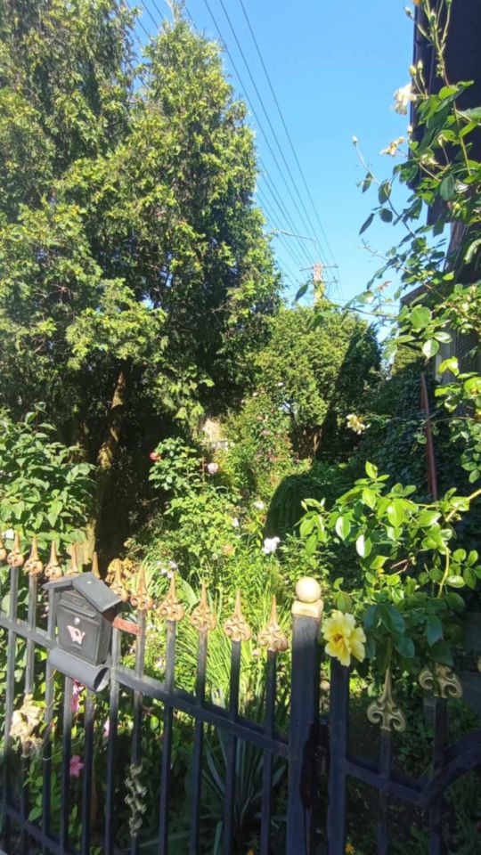 gospodarstwo, 5 pokoi Kliczewo Duże, ul. Wspólna. Zdjęcie 5