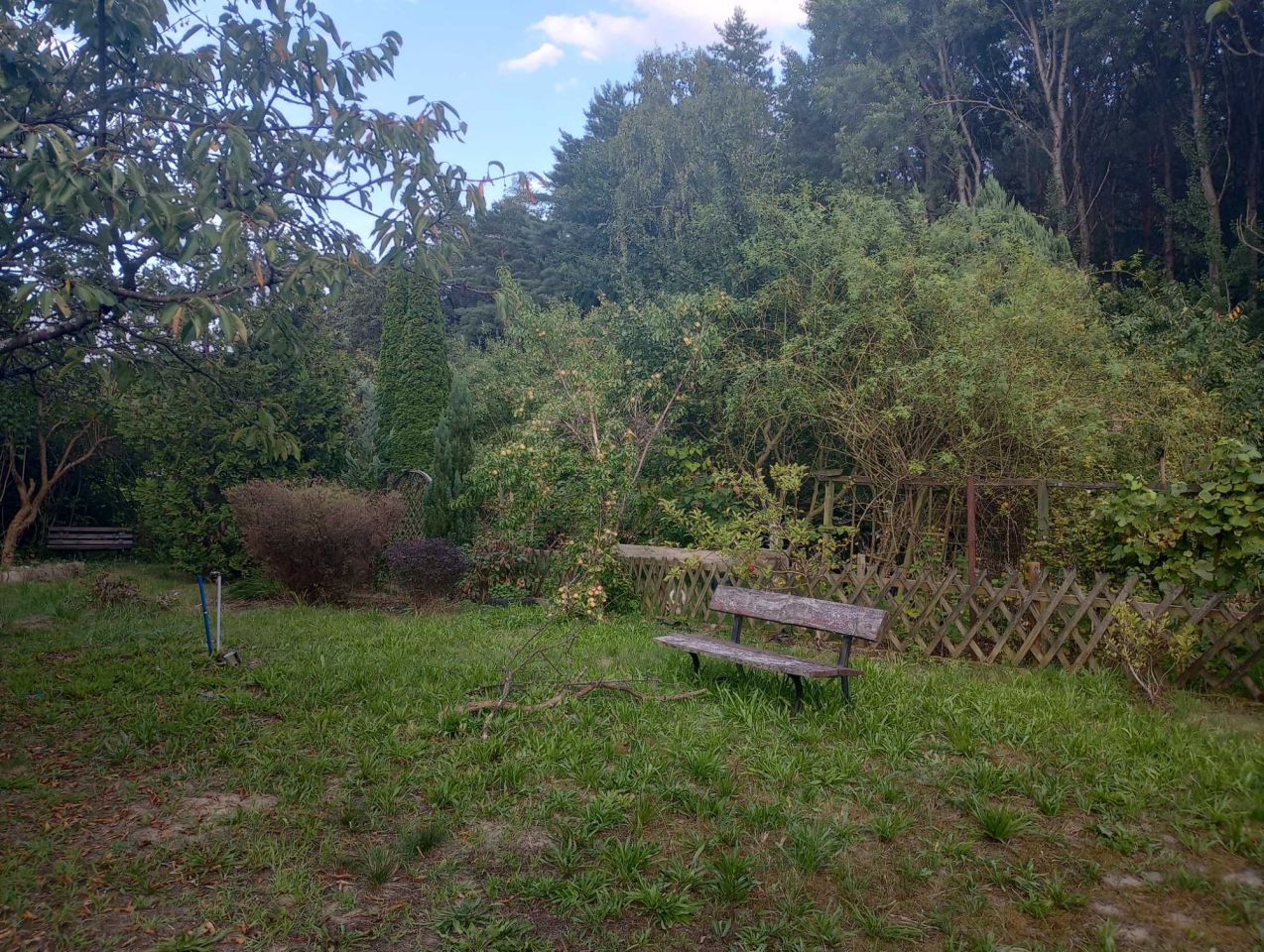 Działka rod Wilkanowo. Zdjęcie 3