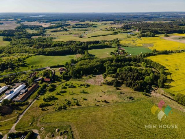 Działka rolna Tomaryny. Zdjęcie 6