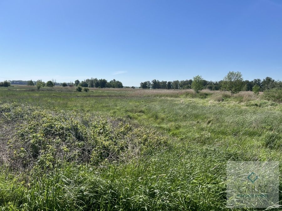 Działka rolna Zastań. Zdjęcie 7