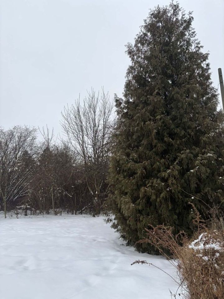 Działka rod Gdańsk Stogi. Zdjęcie 6