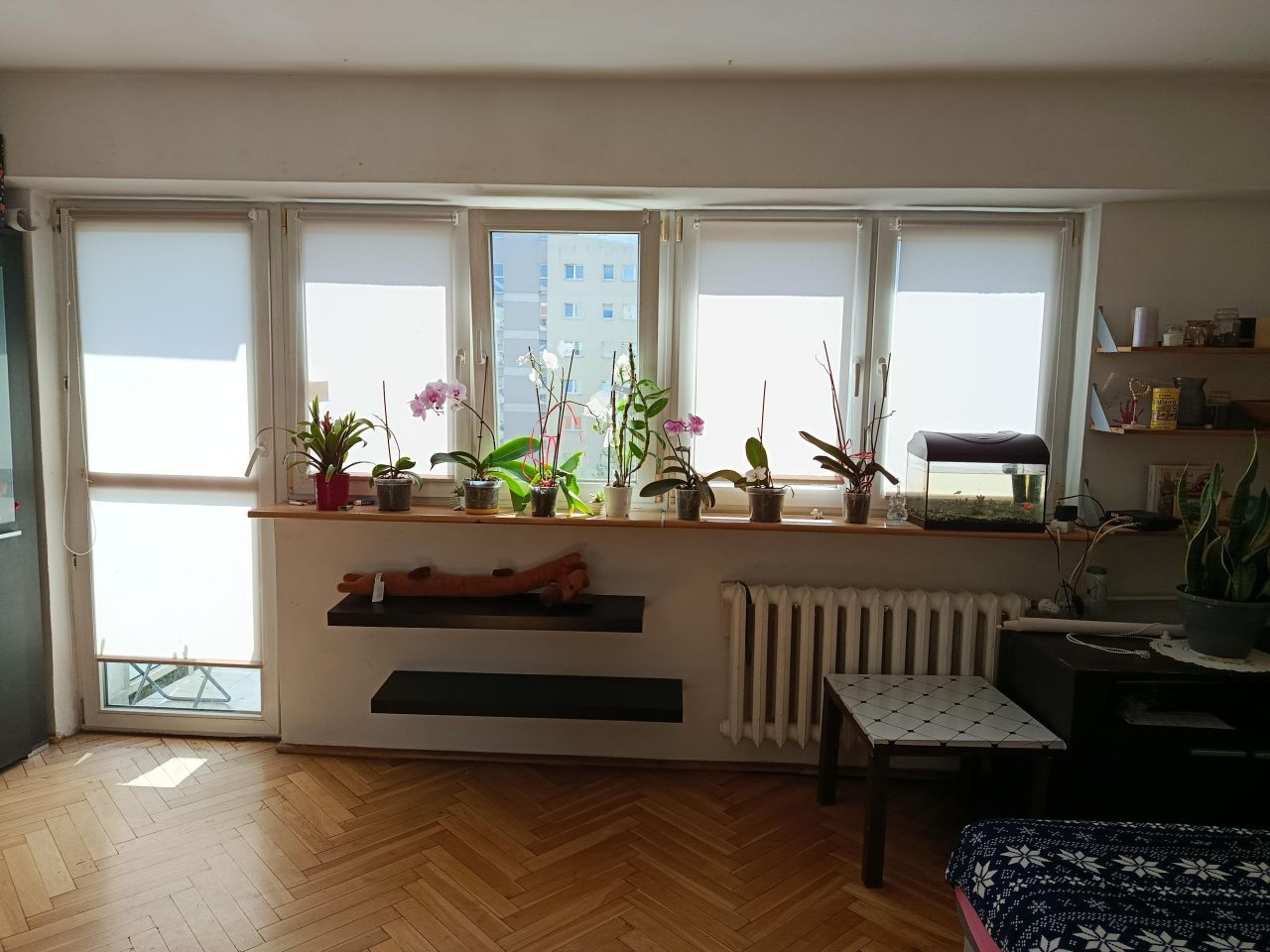 Mieszkanie 1-pokojowe Warszawa Bielany, ul. Władysława Broniewskiego. Zdjęcie 2