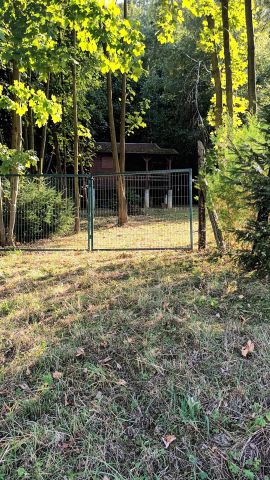 Działka rolna Cergowa. Zdjęcie 4