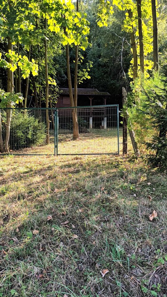 Działka rolna Cergowa. Zdjęcie 4