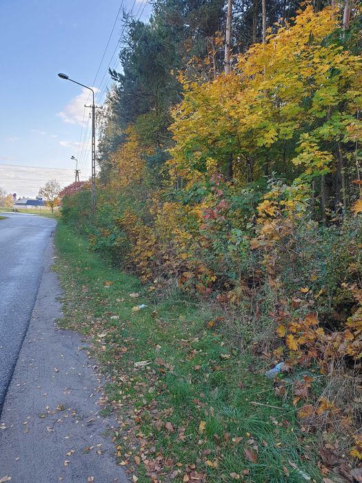 Działka inwestycyjna Potworów, ul. Ogrodnicza. Zdjęcie 1