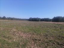 Działka rolno-budowlana Chrząstawa. Zdjęcie 1