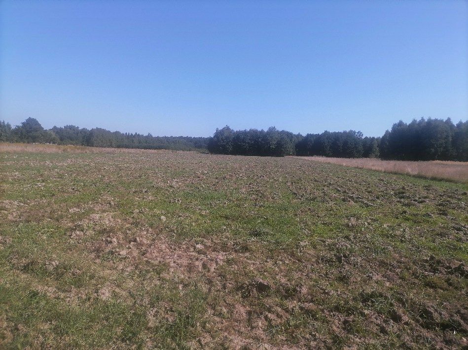 Działka rolno-budowlana Chrząstawa. Zdjęcie 2