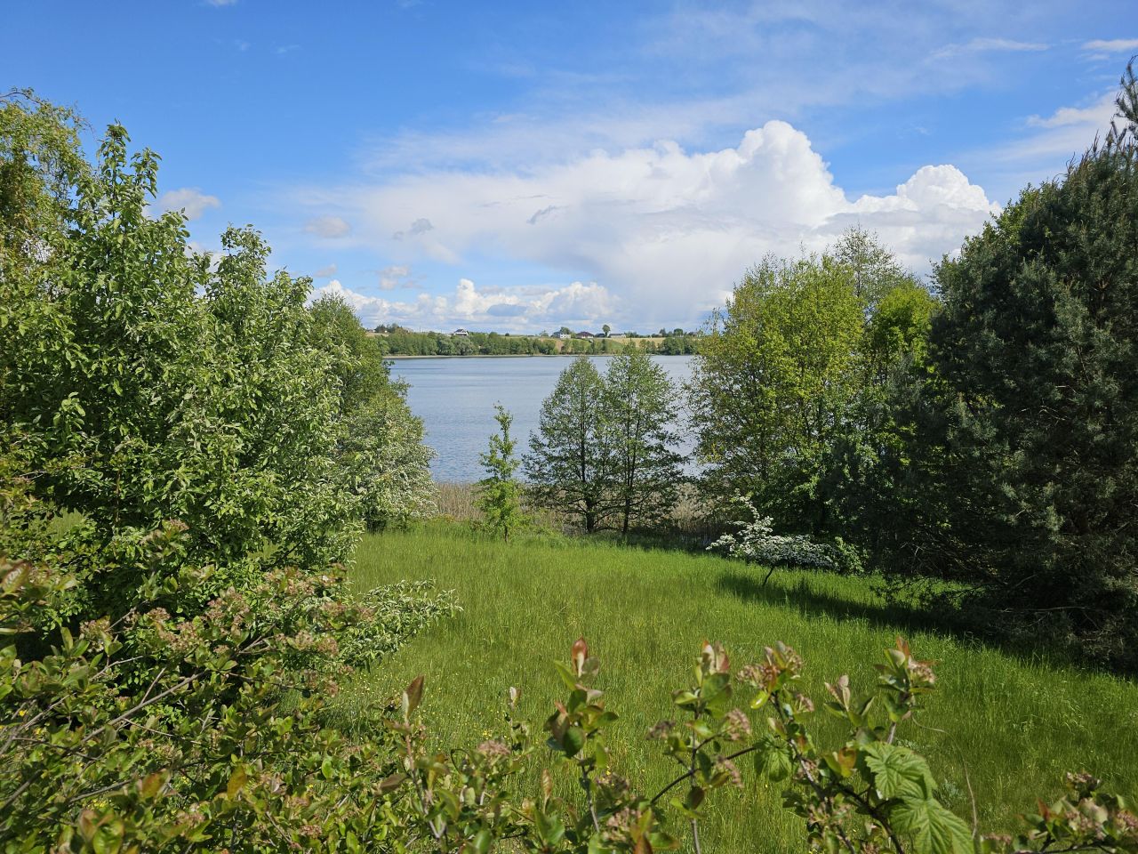 Działka rekreacyjna Kleszczyn. Zdjęcie 6