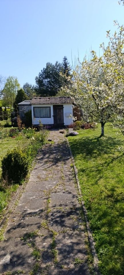 Działka rod Gliwice Sośnica, ul. Królewskiej Tamy. Zdjęcie 1