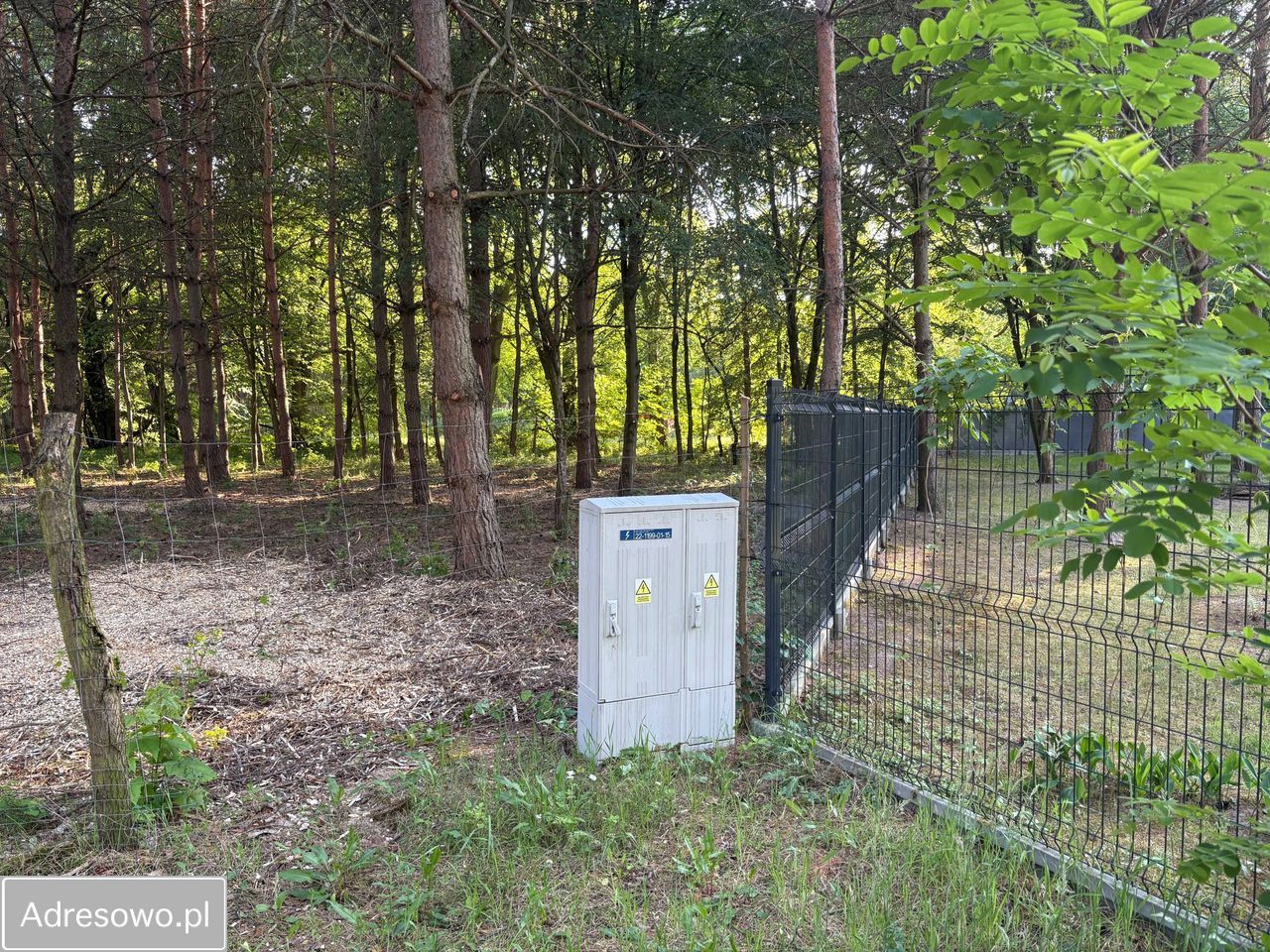 Działka budowlana Wężyk. Zdjęcie 10