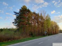 Działka inwestycyjna Kąty Czernickie. Zdjęcie 1