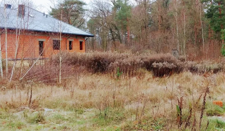 Działka budowlana Zagościniec, ul. Szkolna