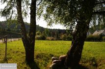 Działka budowlana Rumia, ul. Łąkowa. Zdjęcie 1