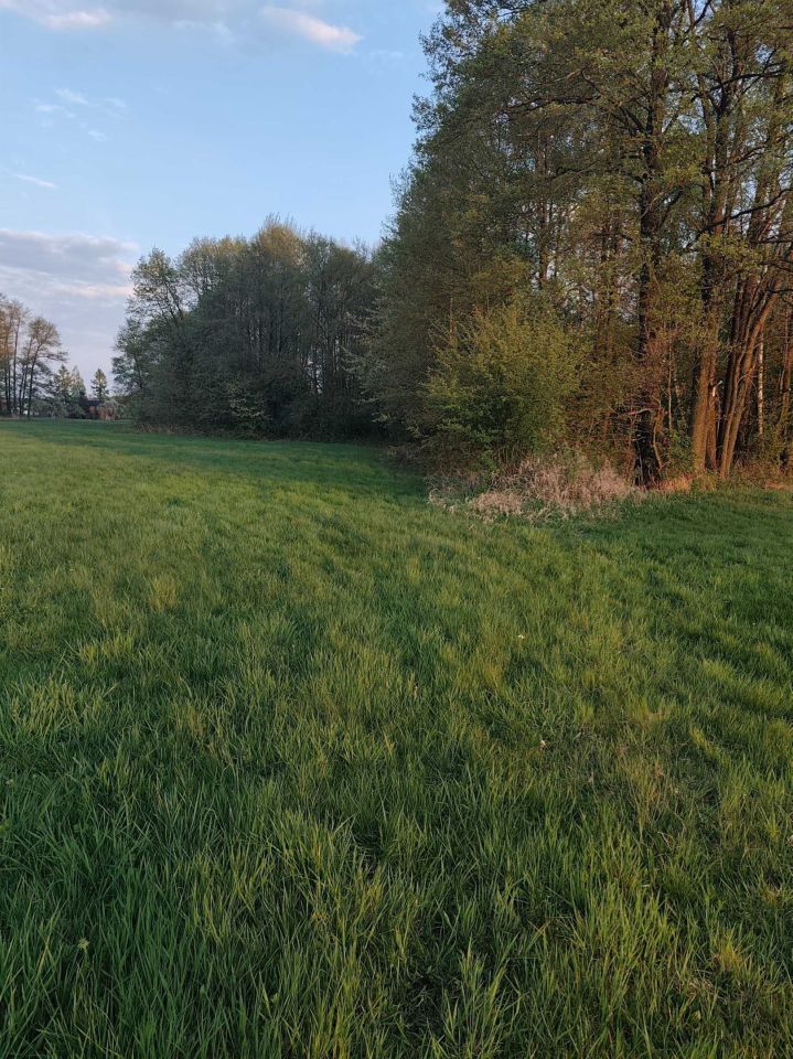 Działka budowlana Wrzeszczewice Nowe. Zdjęcie 6