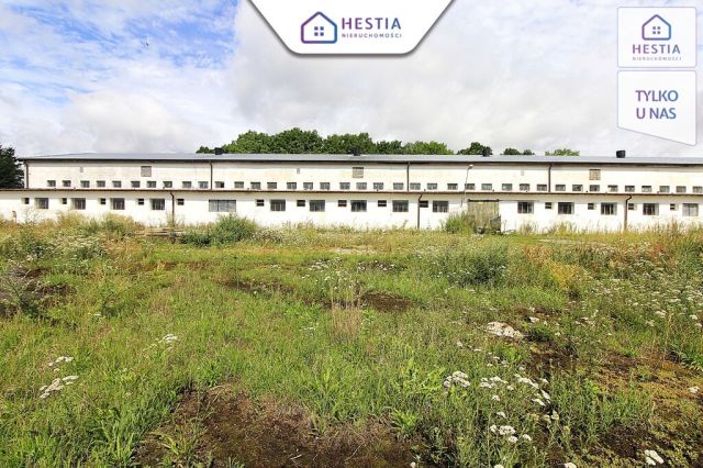 Hala/magazyn Strzyżno. Zdjęcie 3