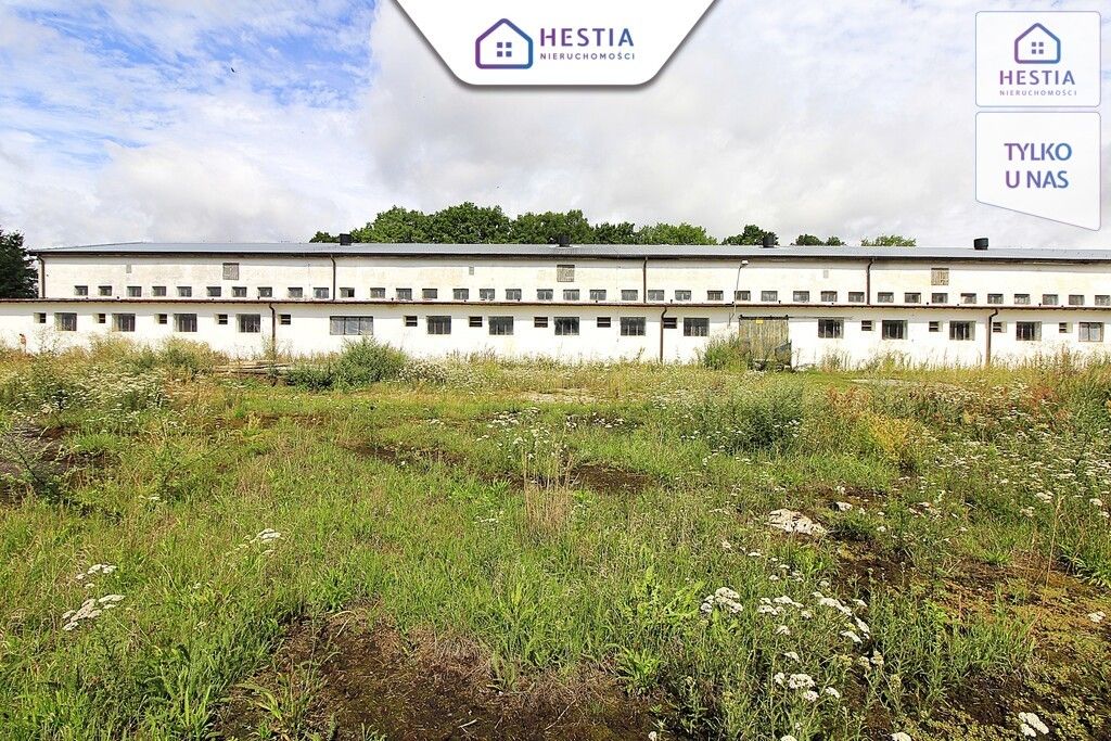 Hala/magazyn Strzyżno. Zdjęcie 3