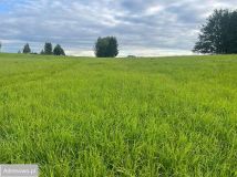 Działka rolna Gady. Zdjęcie 2