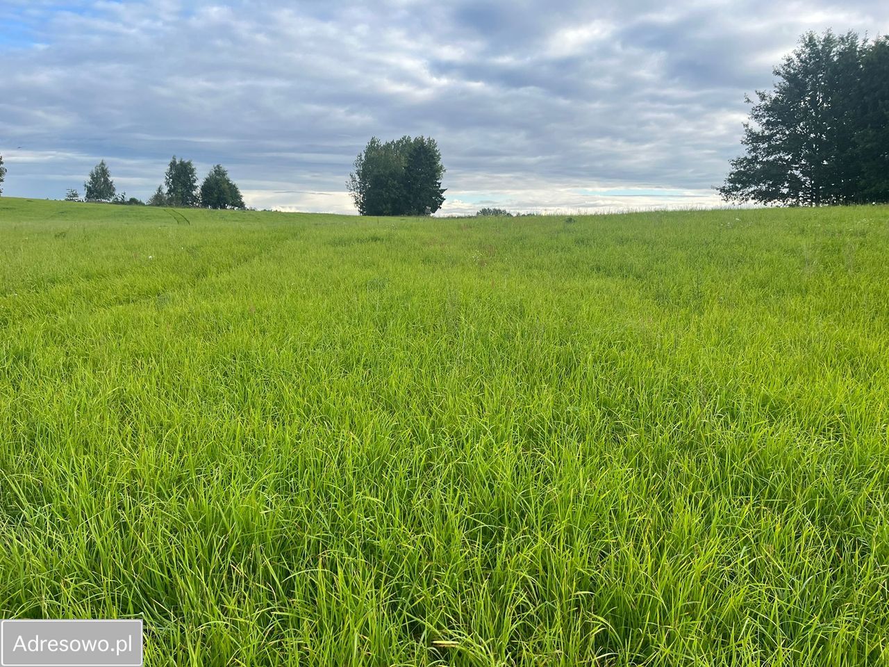 Działka rolna Gady. Zdjęcie 3