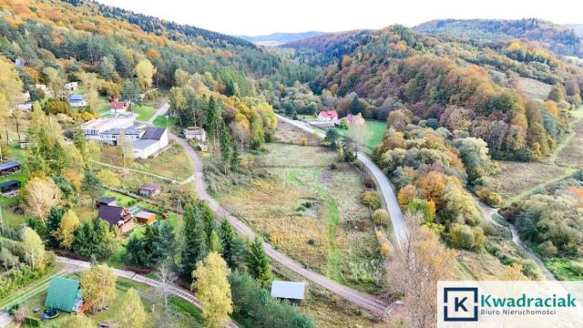 Lokal Tylawa. Zdjęcie 28