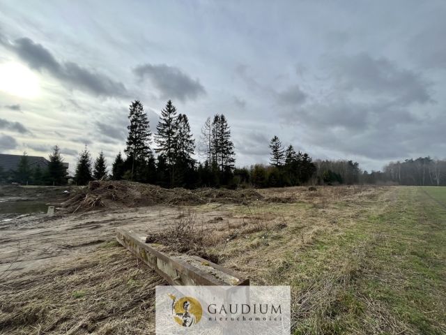 Działka Więckowy. Zdjęcie 6