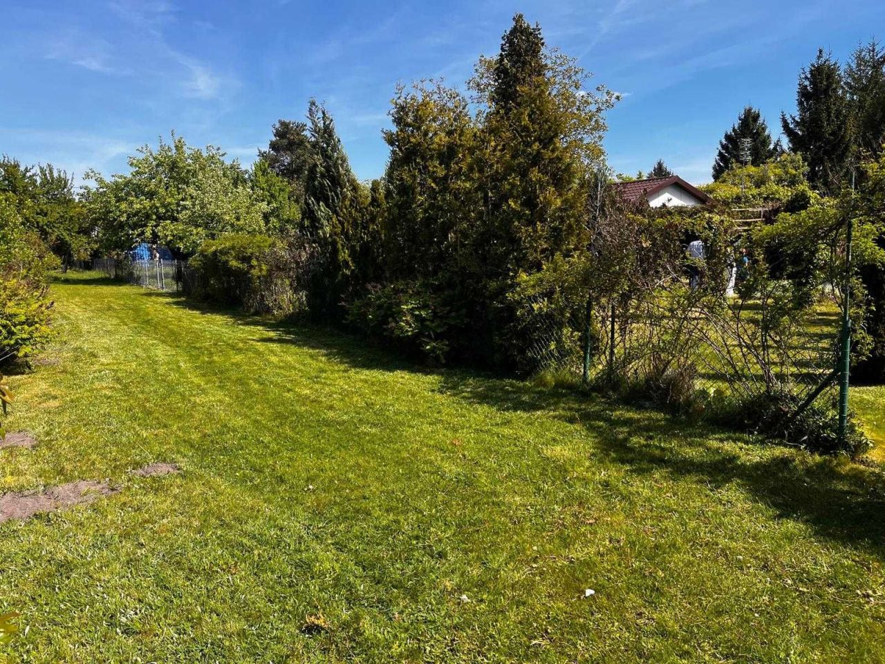 Działka rod Warszawa Paluch, ul. Działkowa. Zdjęcie 7