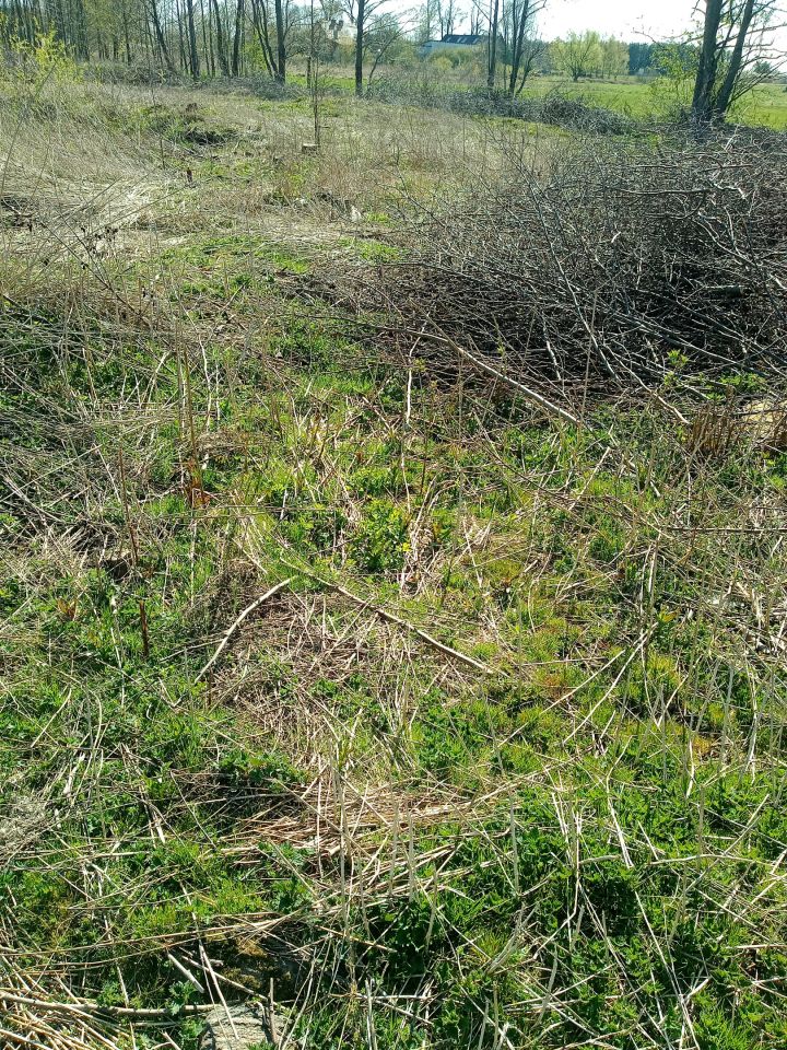 Działka budowlana Jedwabne. Zdjęcie 9