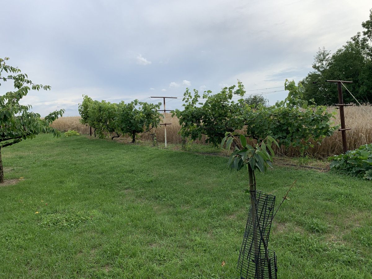 dom wolnostojący, 3 pokoje Skarżyn. Zdjęcie 7