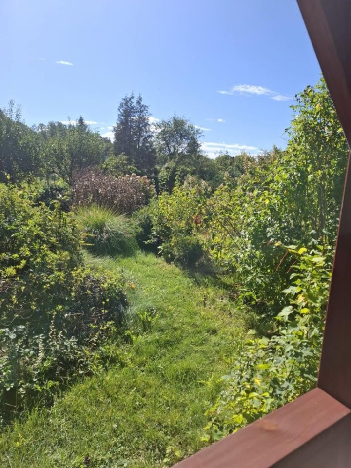 Działka rekreacyjna Zabrze. Zdjęcie 3