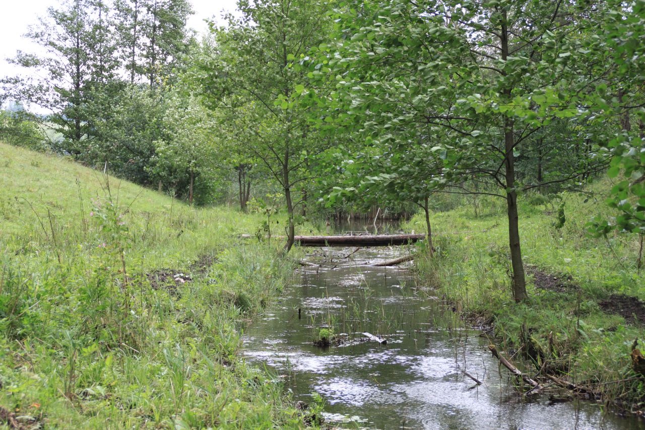 Działka siedliskowa Nowa Przerośl. Zdjęcie 3