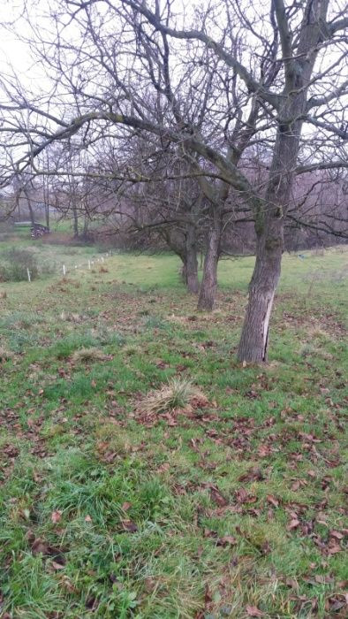 Działka budowlana Buków. Zdjęcie 2